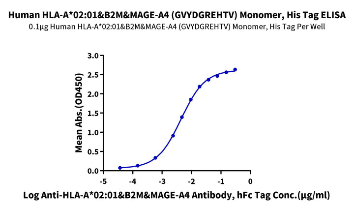 Human HLA-A*02:01&B2M&MAGE-A4 (GVYDGREHTV) Monomer Protein (MHC-HM401)