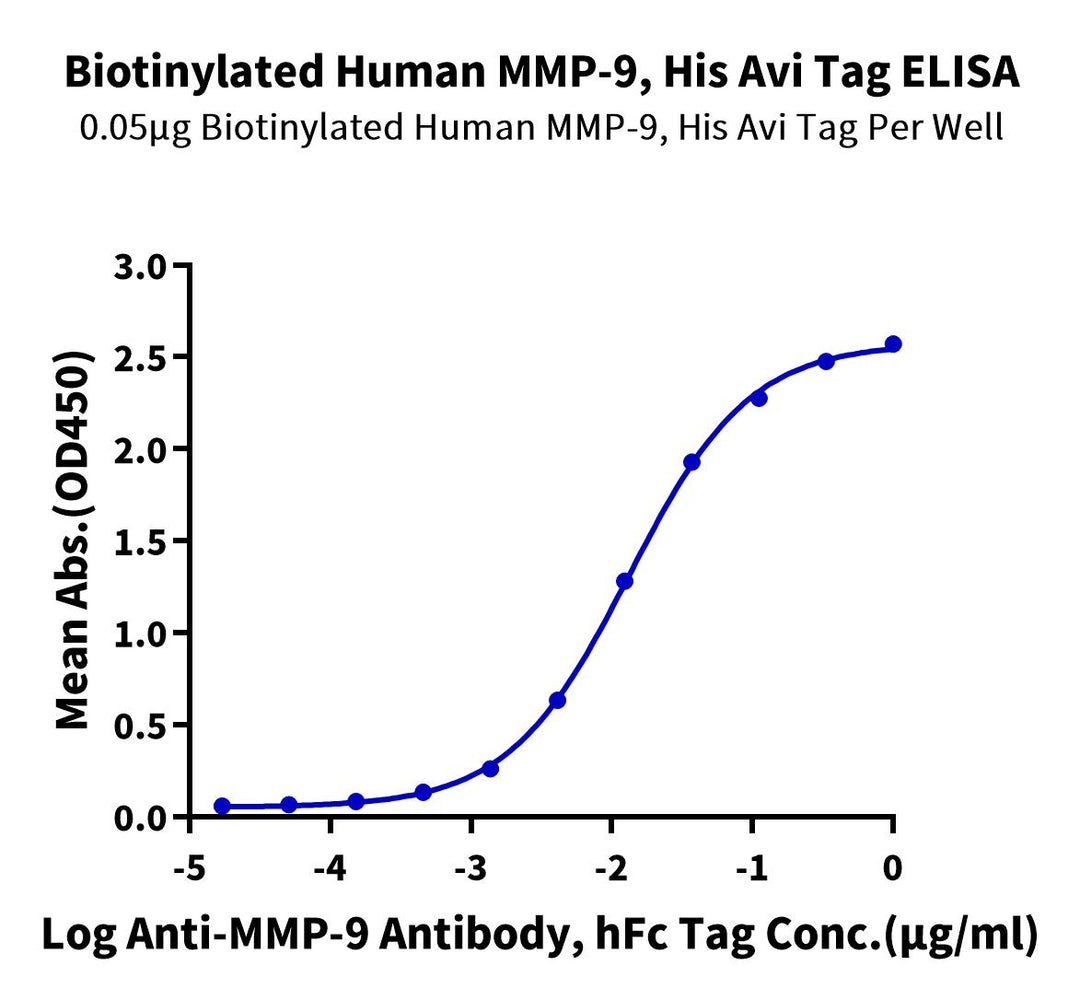 Biotinylated Human MMP-9 Protein (pro form), Ultra Low Endotoxin (MMP-HM409B-UL)