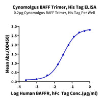 Non-biotinylated Cynomolgus BAFF/TNFSF13B/CD257 Trimer Protein (BAF-CM412)