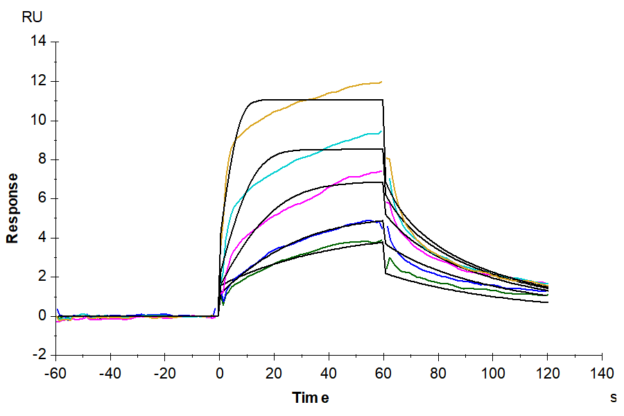 Human IL-7 R alpha&TSLPR Protein (ILT-HM107)