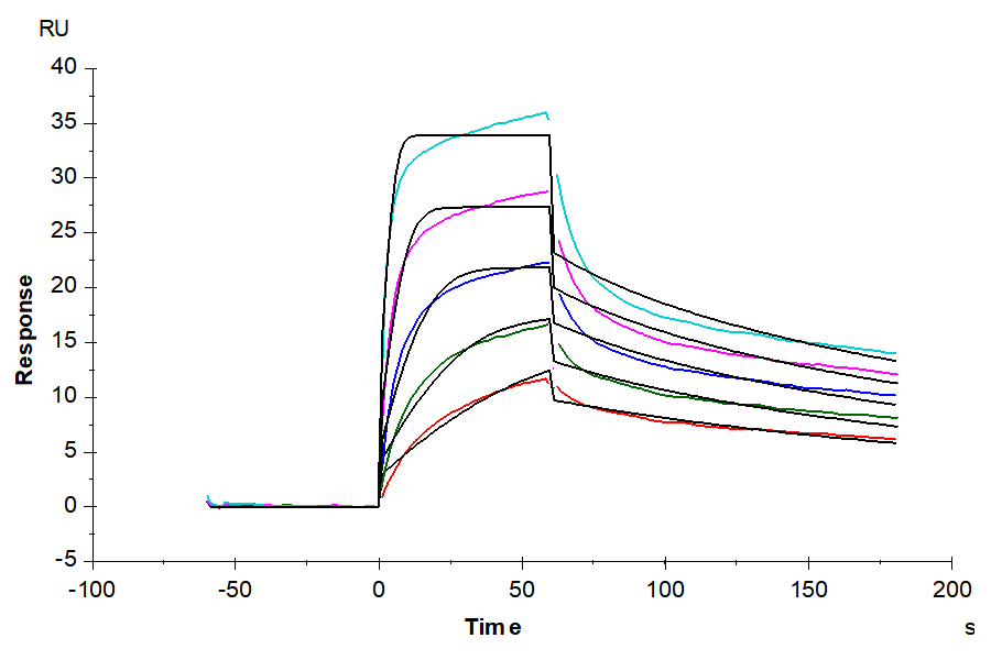 Human CDH6/Cadherin 6 Protein, Ultra Low Endotoxin (CHD-HM106-UL)