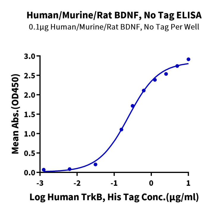 Human/Mouse/Rat BDNF-Protein (BDF-HE001)