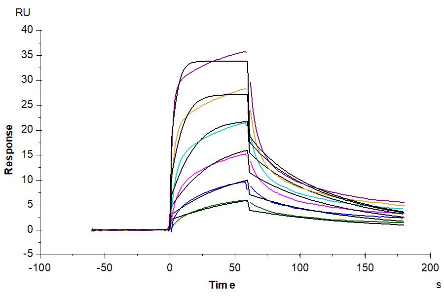 Human IL-7 R alpha/CD127 Protein (IL7-HM1RA)