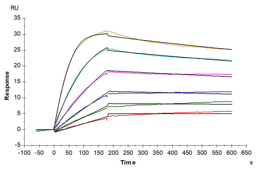 Human Activin A Protein (ACV-HM001)