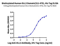 Biotinylated Human DLL3 Domain (311-479) Protein (DLL-HM4D1B)