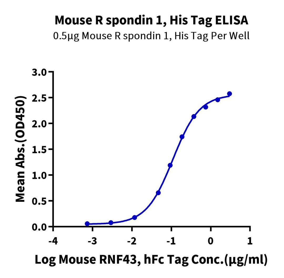 Mouse R spondin 1/RSPO1 Protein (RS1-MM101)