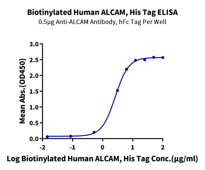 Biotinylated Human ALCAM/CD166 Protein (Primary Amine Labeling) (ALC-HM101B)