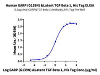 Non-biotinylated Human GARP (G139N) &Latent TGF Beta 1 Complex Protein (GAT-HM104)