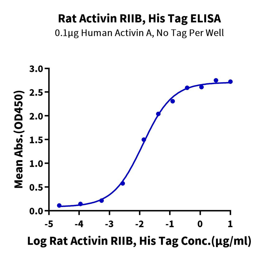 Rat Activin RIIB/ACVR2B Protein (ARB-RM12B)