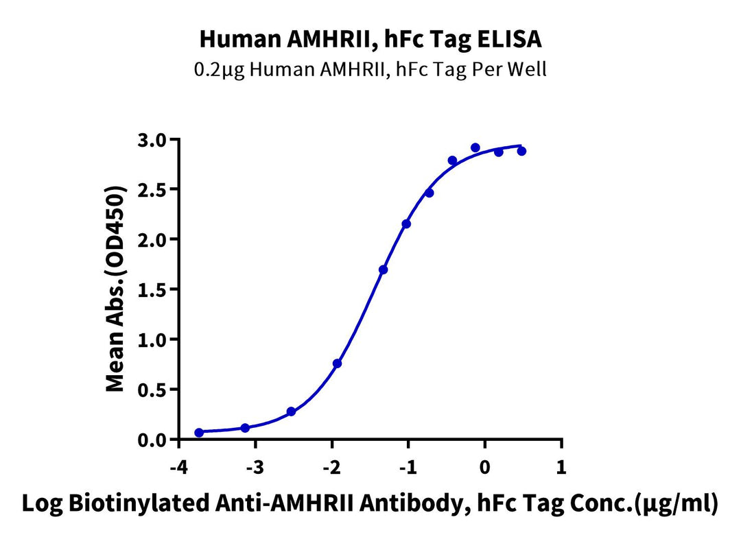 Human AMHRII Protein (AMH-HM2R2)