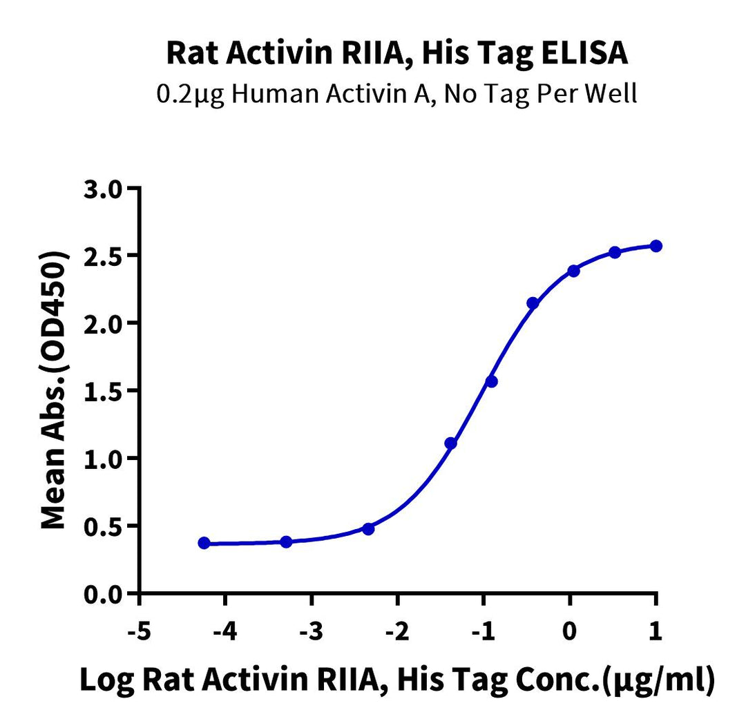 Rat Activin RIIA/ACVR2A Protein (ARA-RM12A)