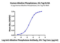 Human Alkaline Phosphatase (Placental type) /ALPP Protein, Ultra Low Endotoxin (APE-HM102-UL)