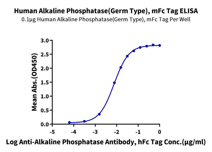 Human Alkaline Phosphatase (Germ type) /ALPG Protein (APE-HM303)