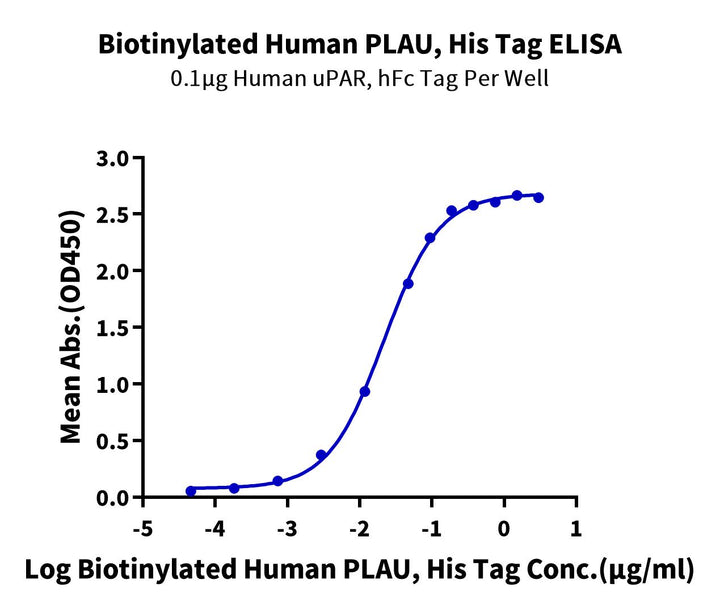 Biotinylated Human PLAU/uPA Protein (active form) (PLA-HM401B)