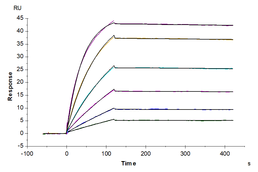 Immobilized Biotinylated Human SSTR2 Nanodisc, His Tag at 2ug/ml(100ul/well) on the streptavidin precoated plate (5ug/ml). Dose response curve for Anti-SSTR2 Antibody, hFc Tag with the EC50 of 6.1ng/ml determined by ELISA (QC Test).