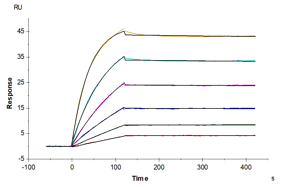 Human TNFSF15 Trimer Protein, Ultra Low Endotoxin (FSF-HM415-UL)