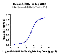 Human FcRH5/FcRL5 Protein (FCR-HM101)