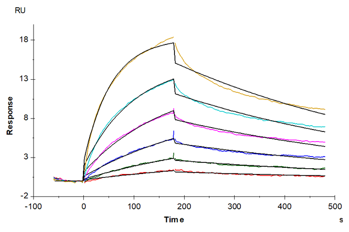 Biotinylated Human OX40/TNFRSF4/CD134 Protein (OX4-HM440B)