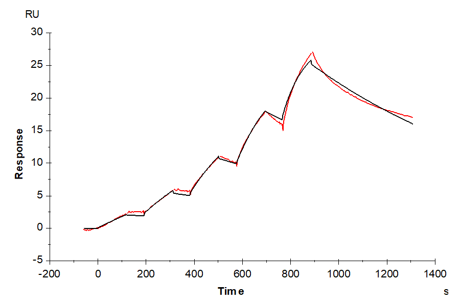 Human Transferrin Protein, Ultra Low Endotoxin (TFN-HM101-UL)