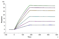 Human/Mouse/Rat GDF-8 Protein, Ultra Low Endotoxin (GDF-HM008-UL)