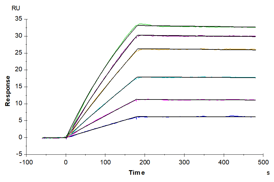 Human/Cynomolgus Activin RIIA/ACVR2A-Protein (ARA-HM22A)