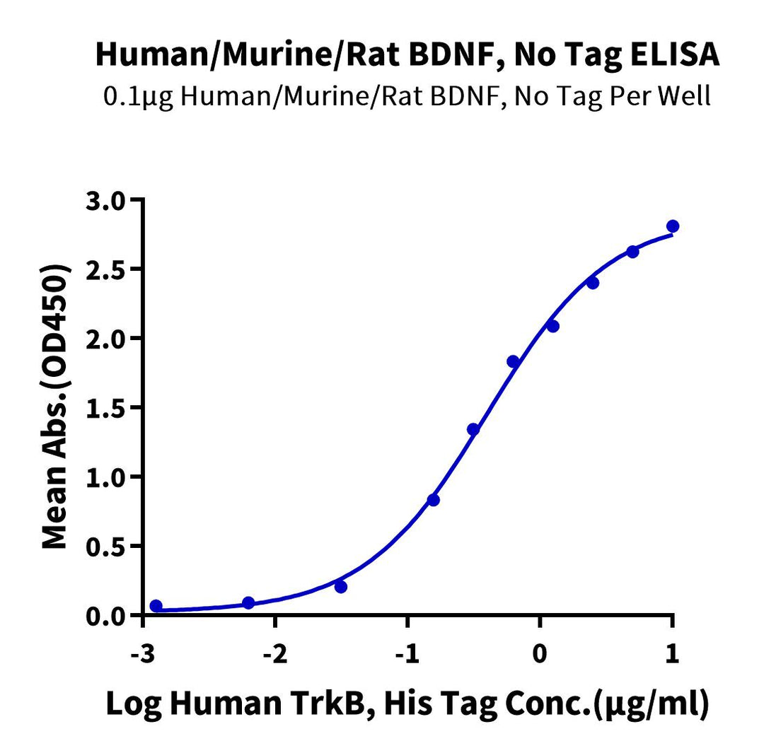 Human/Mouse/Rat BDNF-Protein (BDF-HE001)
