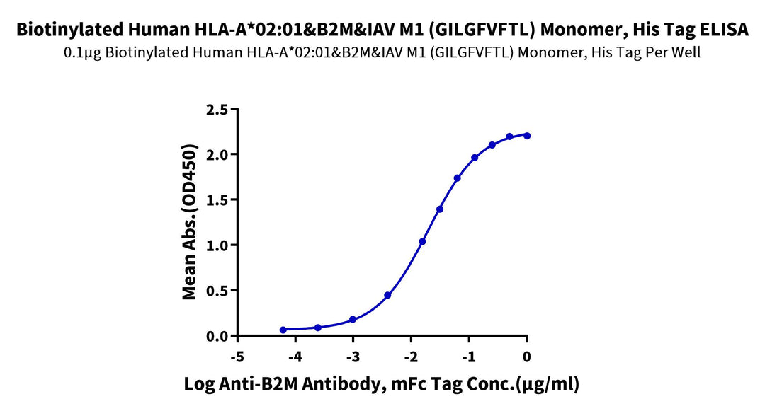 Biotinylated Human HLA-A*02:01&B2M&Influenza M1₅₈₋₆₆ (GILGFVFTL) Monomer Protein (MHC-HE038B)