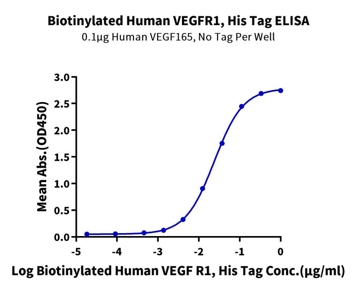 Biotinylated Human VEGF R1/FLT-1 Protein (VGF-HM4R1B)