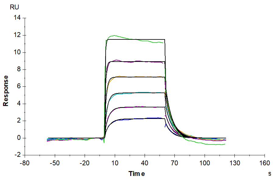 Cynomolgus IL-1 alpha/IL-1A Protein (IL1-CM10A)