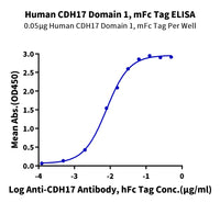 Human CDH17/Cadherin 17 Domain 1 Protein (CDH-HM31D)