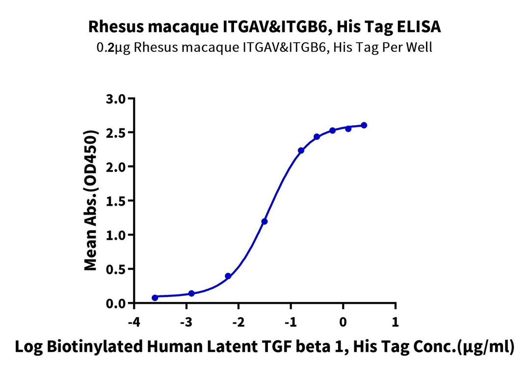 Rhesus macaque Integrin alpha V beta 6 (ITGAV&ITGB6) Heterodimer Protein (ITG-RM1V6)