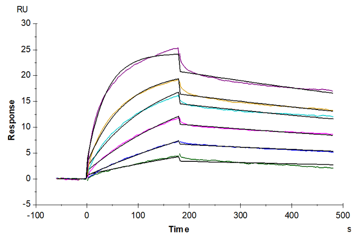 Biotinylated Human GPRC5D Protein-VLP (GPR-HM05PB)