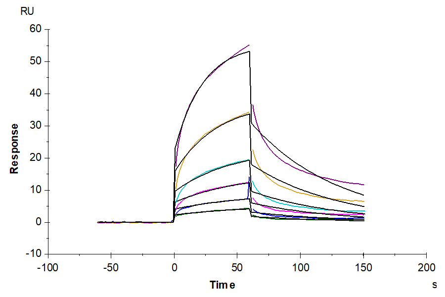 Human APOE4/Apolipoprotein E Protein (APO-HM102)