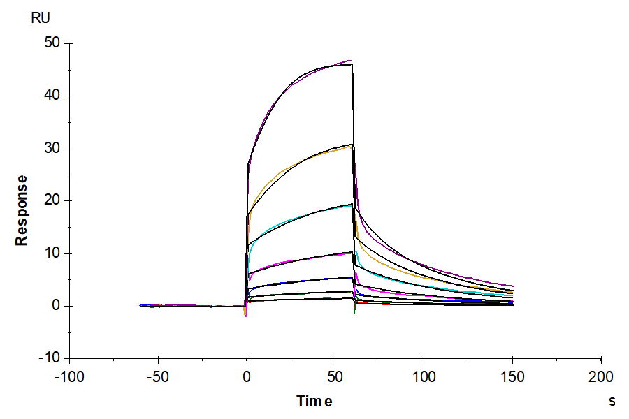 Human PD-L1/B7-H1 Protein, Ultra Low Endotoxin (PDL-HM110-UL)