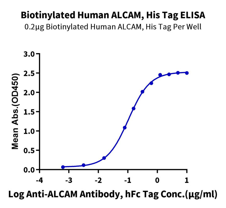 Biotinylated Human ALCAM/CD166 Protein (ALC-HM401B)