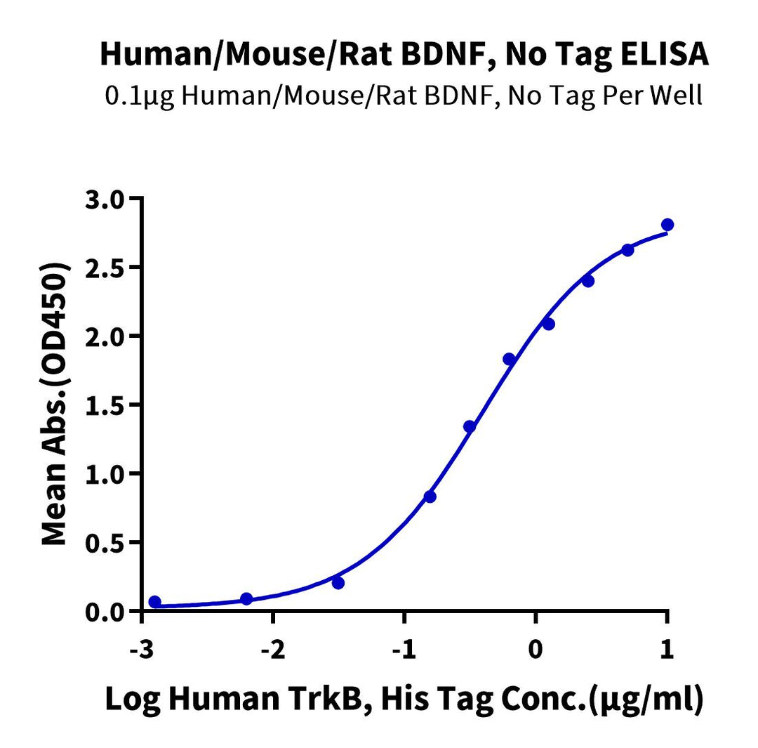 Human/Mouse/Rat BDNF-Protein (BDF-HE001)