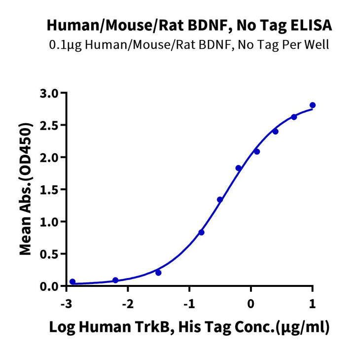 Human/Mouse/Rat BDNF-Protein (BDF-HE001)