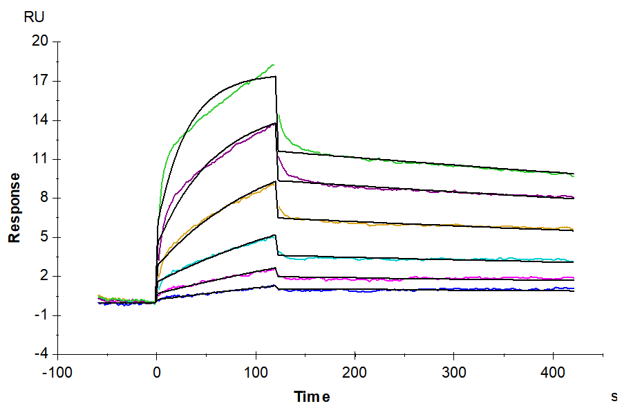 Human EGF Protein, Ultra Low Endotoxin (EGF-HE001-UL)