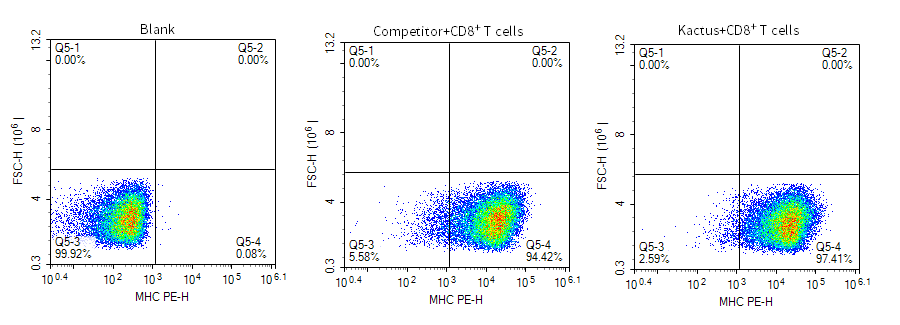 PE-Labeled Mouse H-2K(b)&B2M&OVA (SIINFEKL) Tetramer Protein (MHC-MM453TP)