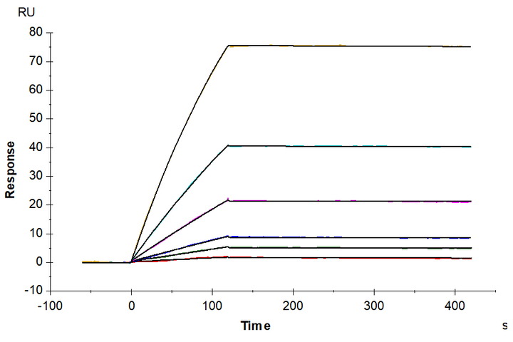 Human Siglec-6/CD327 Protein (SIG-HM406)