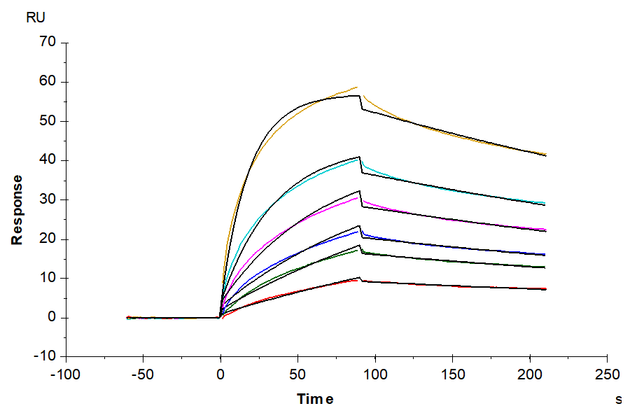 Human IL-23R Protein (ILR-HM223)