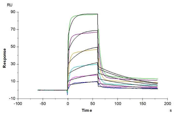 Biotinylated Human HLA-A*02:01&B2M&AFP (FMNKFIYEI) Monomer Protein (MHC-HM407B)