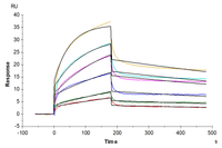 Biotinylated Human CCR2b VLP (CCR-HM02BB)