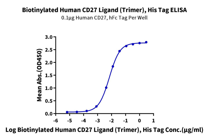 Biotinylated Human CD27 Ligand/CD70 Trimer Protein (Primary Amine Labeling) (CDL-HM427B)