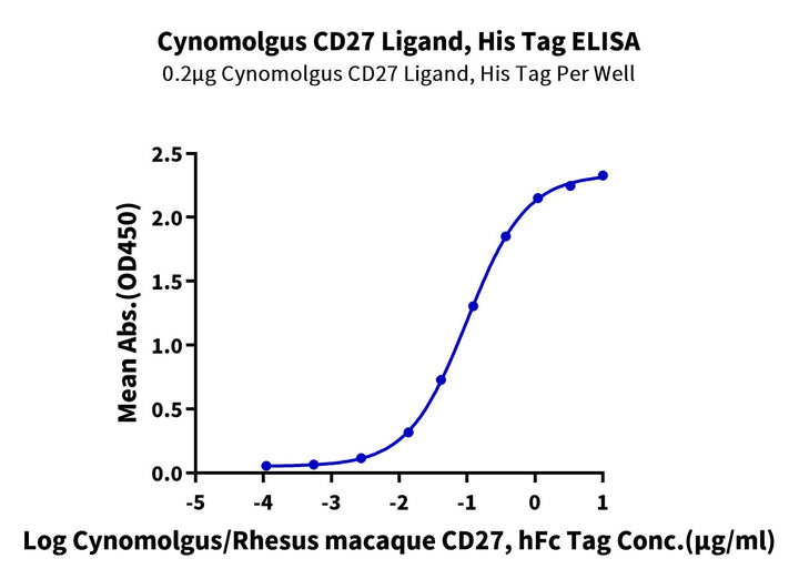 Cynomolgus CD27 Ligand/CD70 Protein (CD7-CM170)