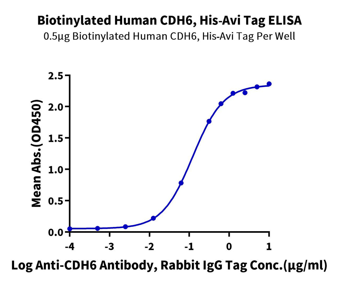 Biotinylated Human CDH6/Cadherin 6 Protein (CDH-HM406B)