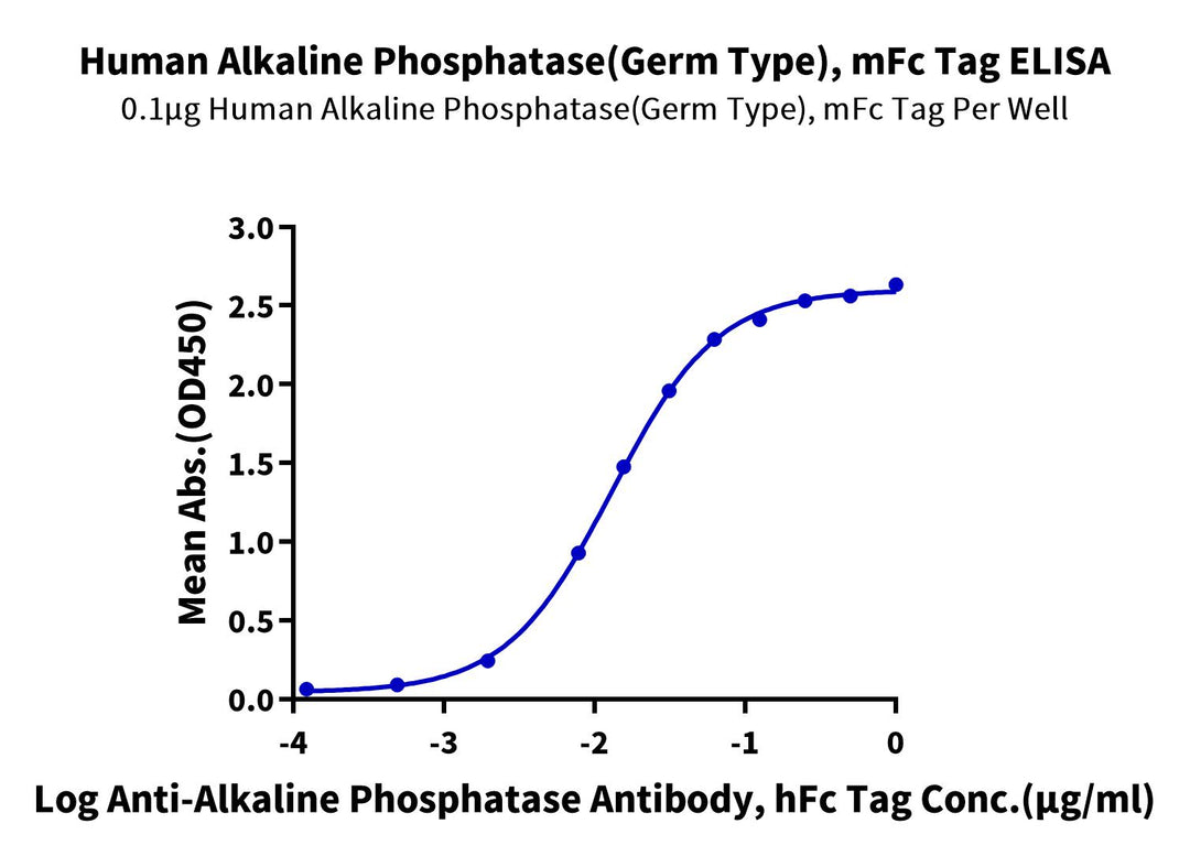 Human Alkaline Phosphatase (Germ type) /ALPG Protein (APE-HM303)