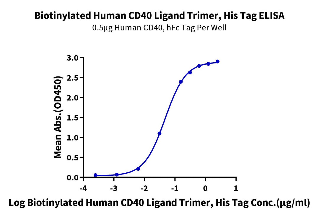 Biotinylated Human CD40 Ligand/TNFSF5 Trimer Protein (Primary Amine Labeling) (CDL-HM140B)