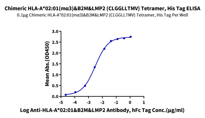 Chimeric HLA-A*02:01 (mα3) &B2M&LMP2 (CLGGLLTMV) Tetramer Protein (MHC-HM413T)