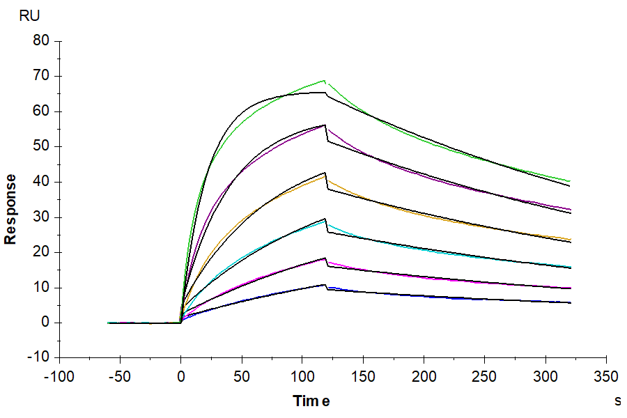 Human IL-5 R alpha/CD125 Protein (ILR-HM45R)